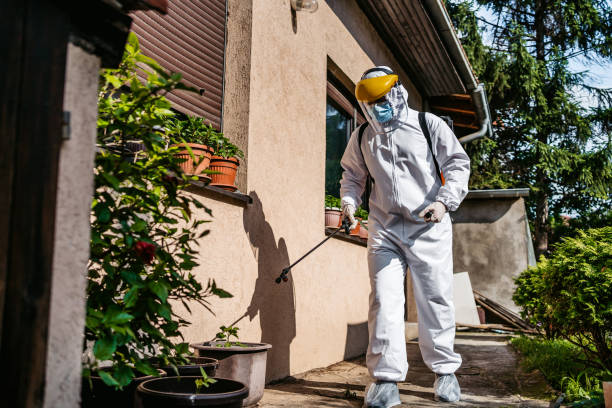 Best Wildlife Control Services  in Davisboro, GA