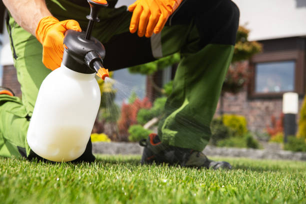 Wildlife Control Services in Davisboro, GA