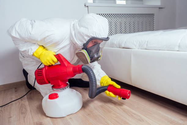 Best Cockroach Control Services  in Davisboro, GA
