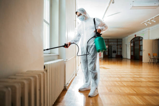 Best Pest Removal Services  in Davisboro, GA