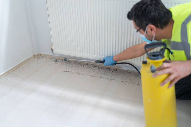 Best Flea Control Services  in Davisboro, GA